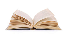 Load image into Gallery viewer, Big Book
